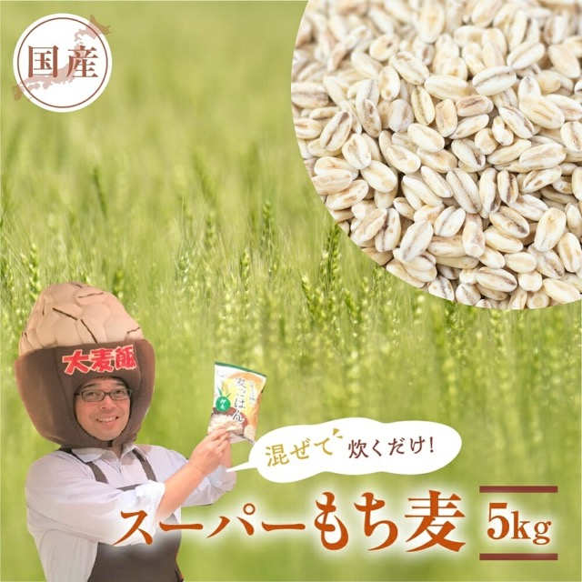 国産スーパーもち麦(楽天ふるさと納税 愛知県豊橋市)