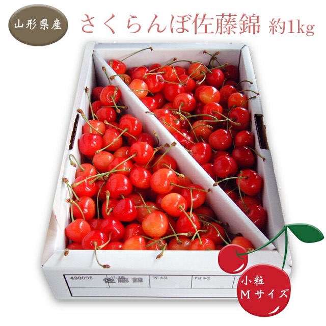 秀品 佐藤錦 M玉（楽天ふるさと納税 山形県長井市）