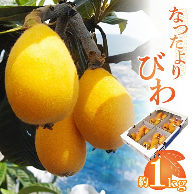 なつたよりびわ（楽天ふるさと納税 香川県高松市）