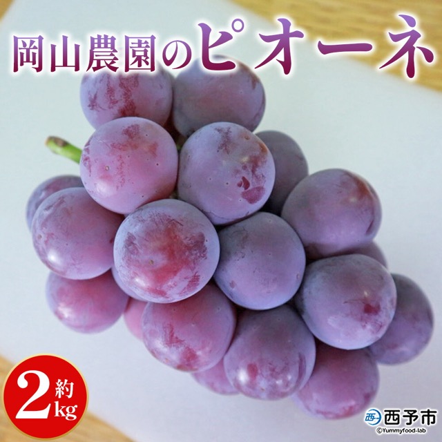 岡山農園 ピオーネ（楽天ふるさと納税 愛媛県西予市）