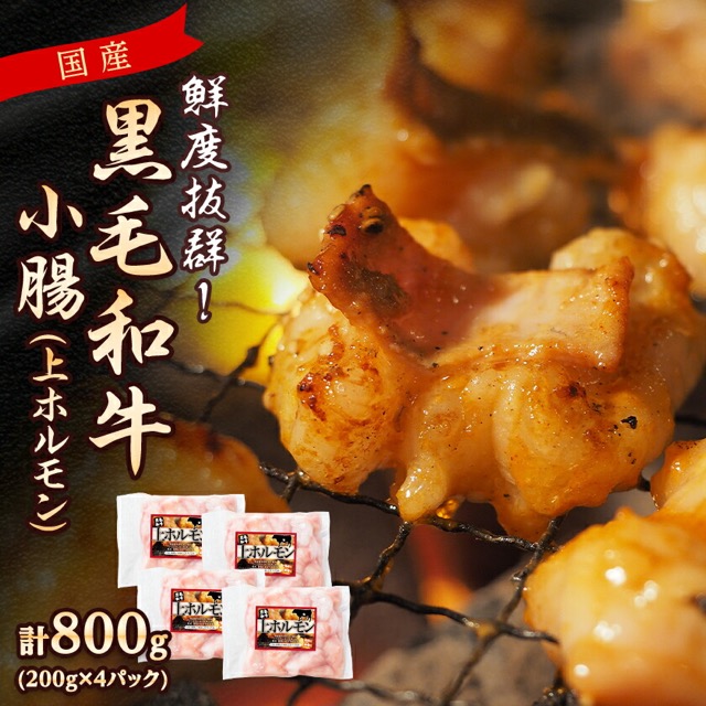 国産黒毛和牛 小腸 上ホルモン(楽天ふるさと納税 鹿児島県枕崎市)