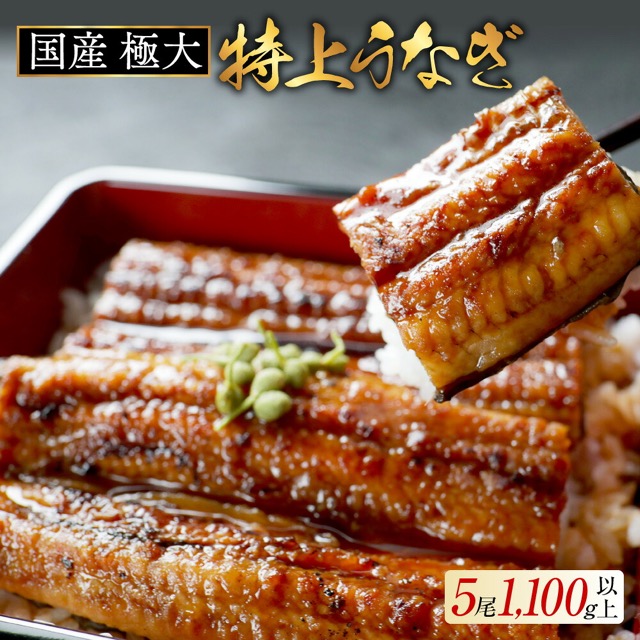 九州産 特上うなぎ蒲焼 220g×5尾(楽天ふるさと納税 北海道別海町)