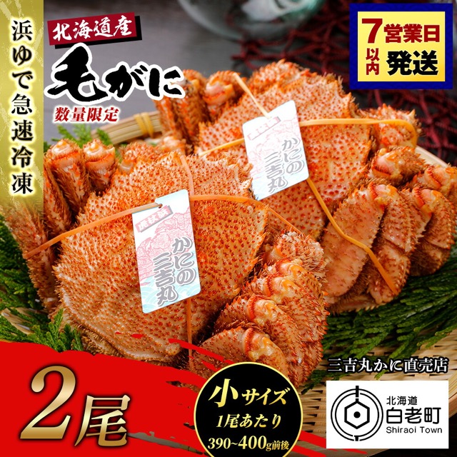 北海道産 冷凍ボイル毛ガニ（390〜400g前後）2尾（発送月が選べる）（楽天ふるさと納税 北海道白老町）