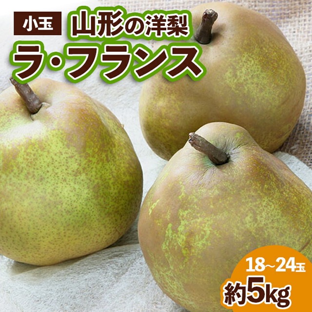 山形の洋梨 ラフランス 優品 約5kg（小玉2L〜M・18〜24玉・発送月が選べる）（楽天ふるさと納税 山形県山形市）