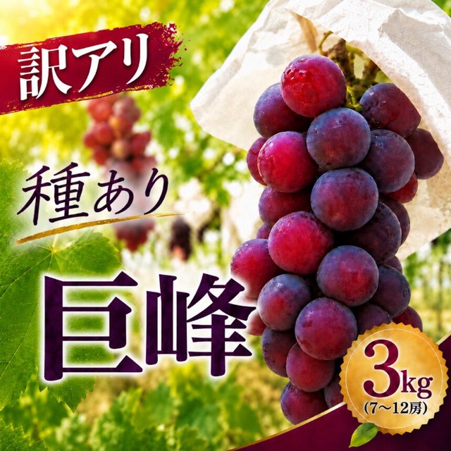 訳あり 種あり巨峰ブドウ 約3kg(楽天ふるさと納税 大分県中津市)