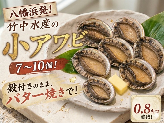 竹中水産 天然小アワビ(楽天ふるさと納税 愛媛県八幡浜市)
