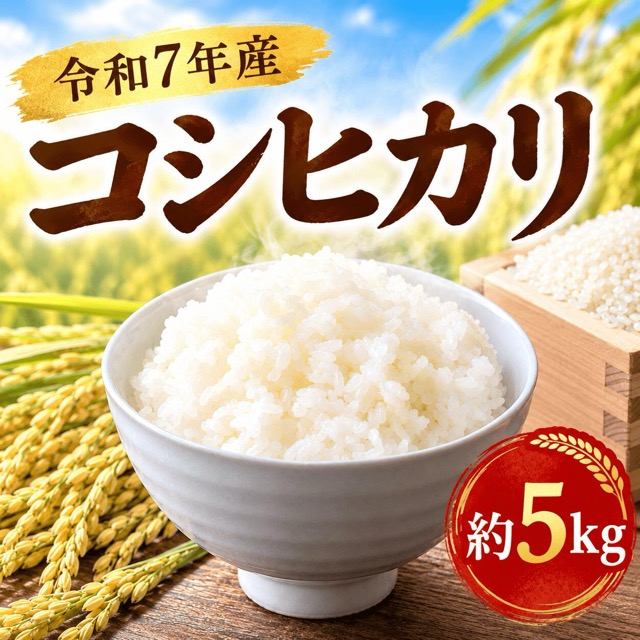 令和7年産 コシヒカリ(楽天ふるさと納税 茨城県筑西市)
