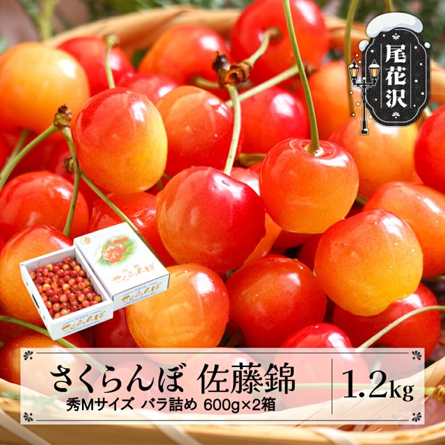 秀M 佐藤錦 バラ詰め（楽天ふるさと納税 山形県尾花沢市）