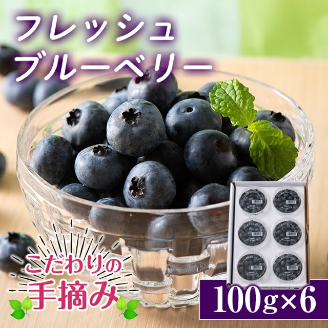 手摘み 生ブルーベリー A級品（楽天ふるさと納税 群馬県下仁田町）