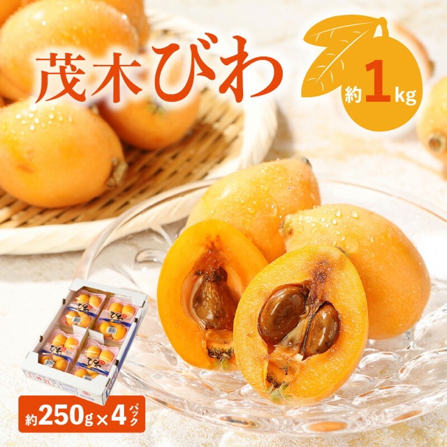 茂木びわ（楽天ふるさと納税 香川県高松市）