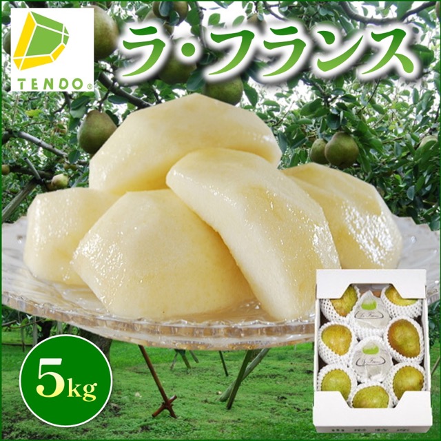 ラ・フランス 秀品 5kg（6L〜2L・10〜18玉・数量限定）（楽天ふるさと納税 山形県天童市）