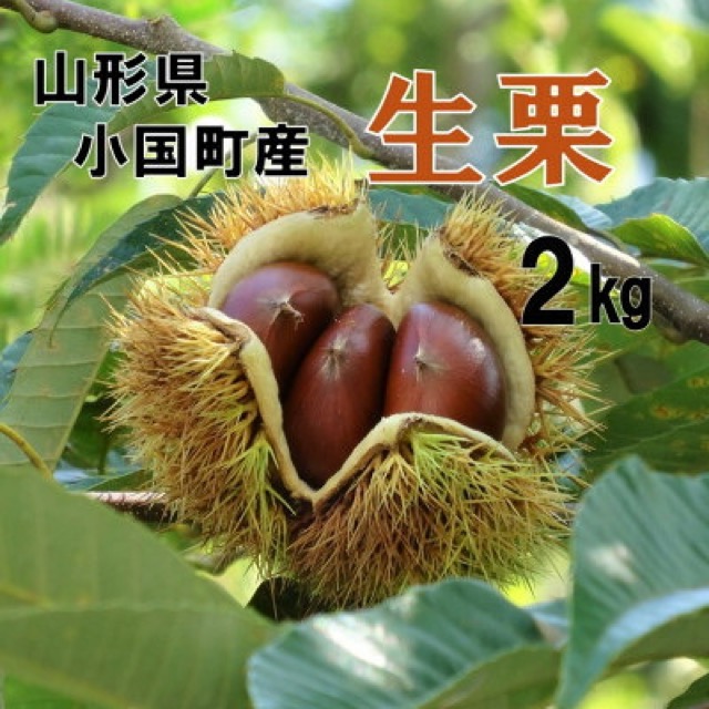 舟山栗園 生栗(楽天ふるさと納税 山形県小国町)
