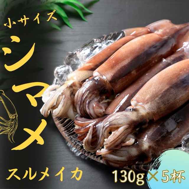 朝どれシマメ 小サイズ5杯(楽天ふるさと納税 島根県海士町)