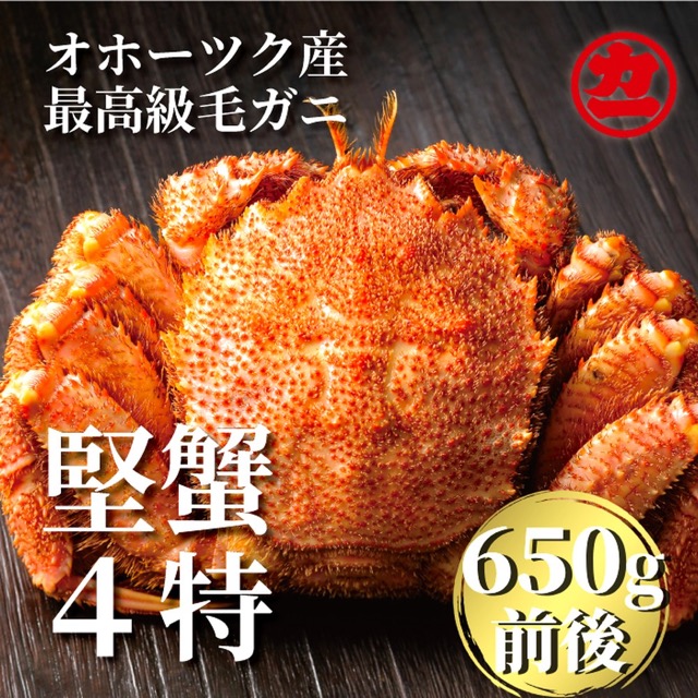 北海道産 ボイル毛がに【四特】大サイズ 1尾（約650g前後）（楽天ふるさと納税 北海道紋別市）
