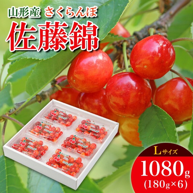 佐藤錦 Lサイズ 180g×6（楽天ふるさと納税 山形県山形市）