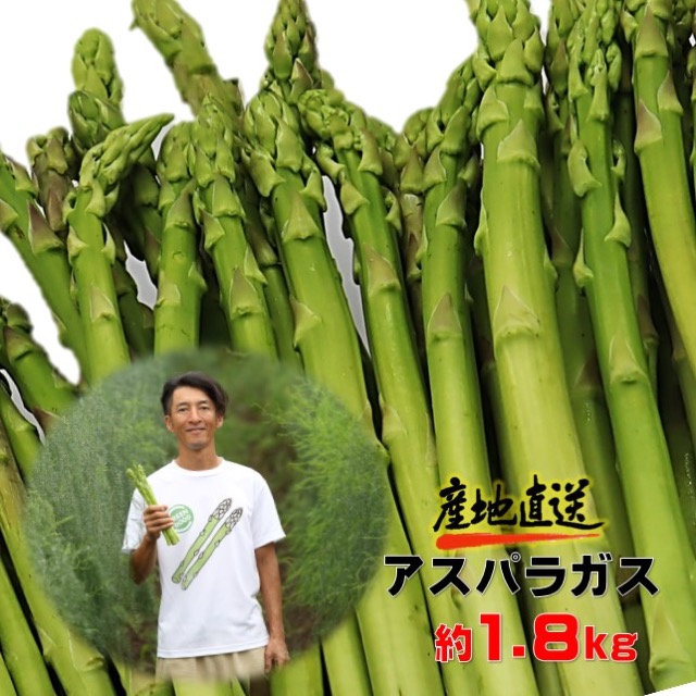 採りたて夏アスパラガス(楽天ふるさと納税 岩手県北上市)