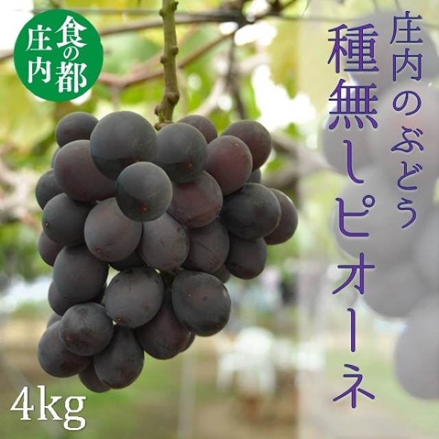 庄内の種無しピオーネ（楽天ふるさと納税 山形県三川町）