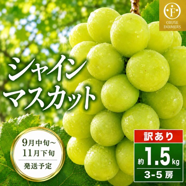 訳あり シャインマスカット（楽天ふるさと納税 長野県小布施町）