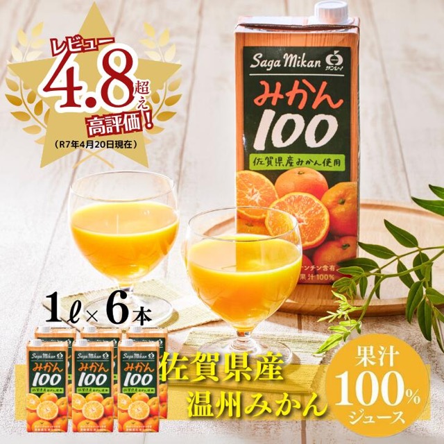 さがみかん100(楽天ふるさと納税 佐賀県佐賀市)