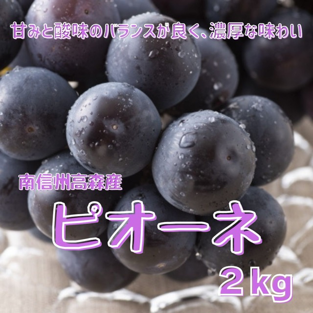 南信州高森産 ピオーネ（楽天ふるさと納税 長野県高森町）