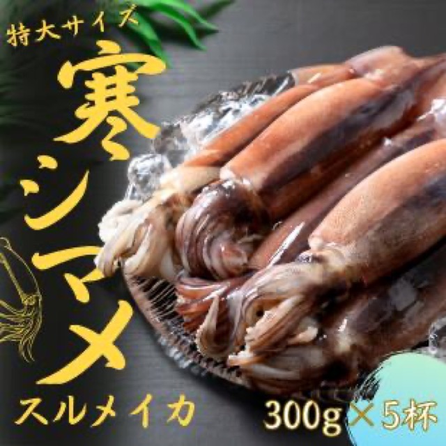 朝どれ寒シマメ 特大5杯(楽天ふるさと納税 島根県海士町)