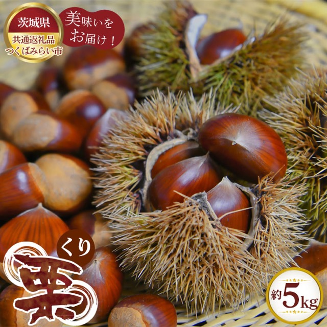 つくばみらい市産 栗(楽天ふるさと納税 茨城県坂東市)