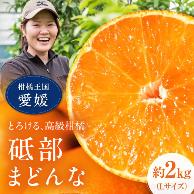 砥部まどんな TOBE Orange Lab(楽天ふるさと納税 愛媛県砥部町)