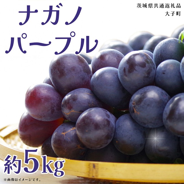 ナガノパープル（楽天ふるさと納税 茨城県共通返礼品）