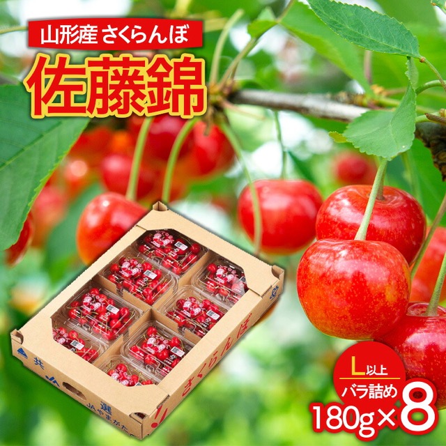 佐藤錦 Lサイズ以上 180g×8（楽天ふるさと納税 山形県山形市）