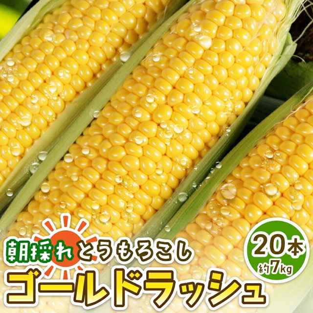 ゴールドラッシュ20本(楽天ふるさと納税 千葉県銚子市)