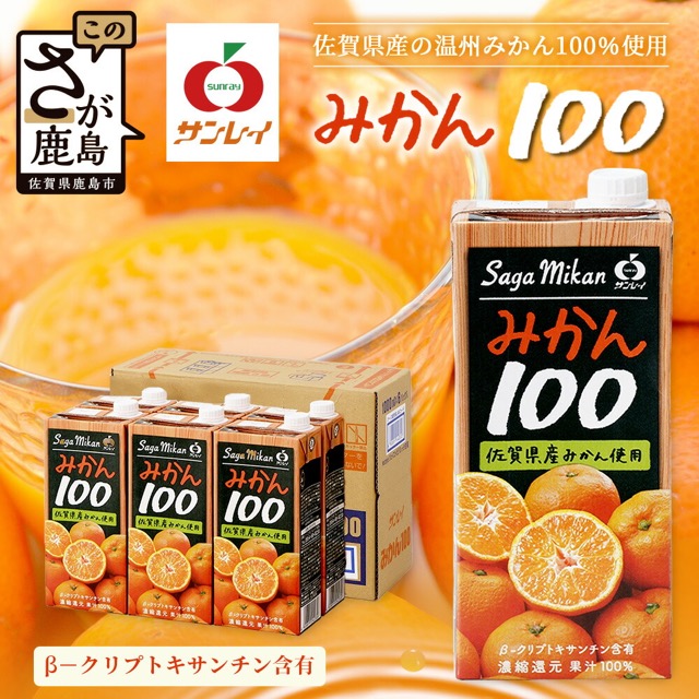 サンレイみかん100(楽天ふるさと納税 佐賀県鹿島市)