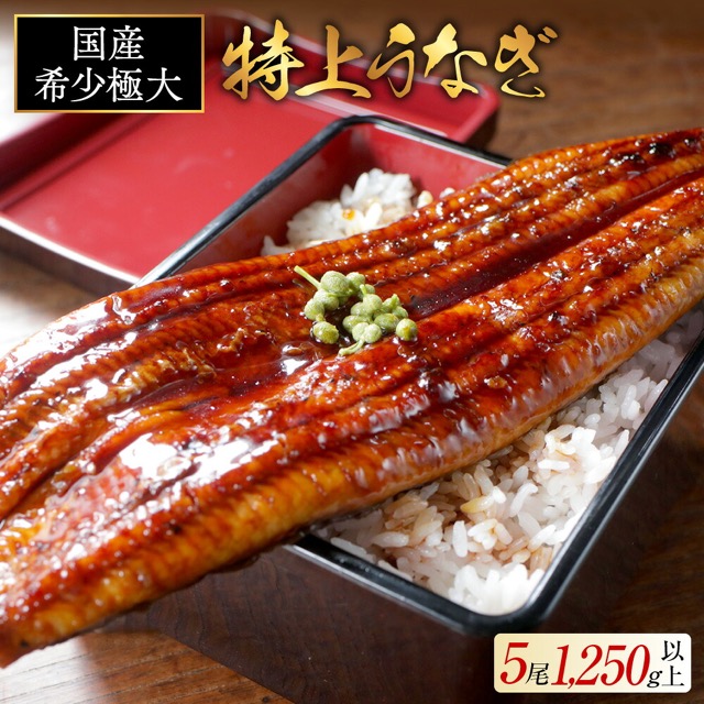 九州産 特上うなぎ蒲焼 250g×5尾(楽天ふるさと納税 北海道別海町)