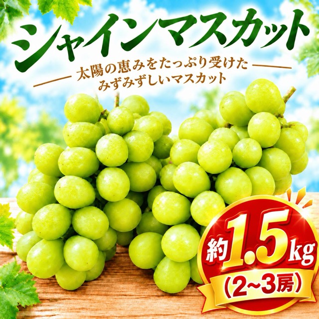 訳あり シャインマスカット（楽天ふるさと納税 千葉県香取市）