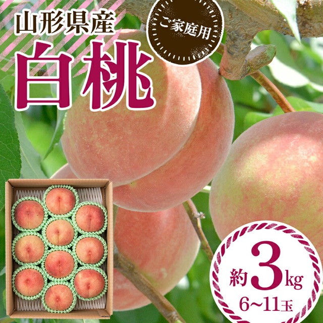 ご家庭用 山形県産 白桃 品種おまかせ（楽天ふるさと納税 山形県西川町）