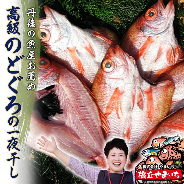 高級のどぐろ一夜干し 6枚(楽天ふるさと納税 京都府宮津市)