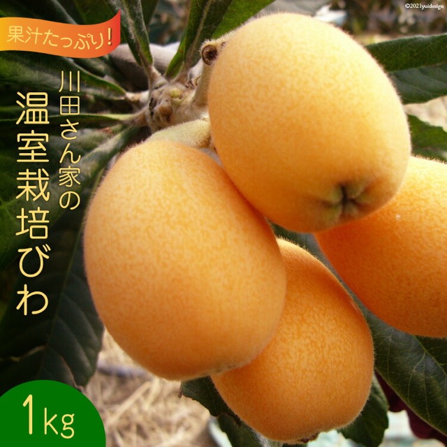 川田さん家の温室栽培びわ（楽天ふるさと納税 長崎県島原市）