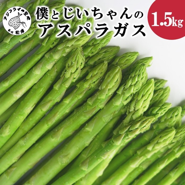 僕とじいちゃんのアスパラガス(楽天ふるさと納税 長崎県松浦市)