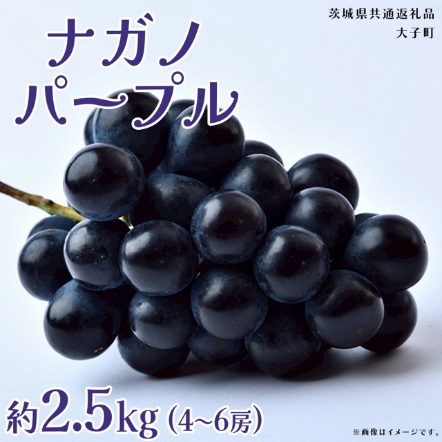 ナガノパープル（楽天ふるさと納税 茨城県共通返礼品）