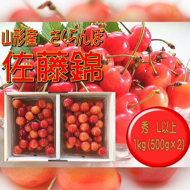 佐藤錦 Lサイズ以上 500g×2（楽天ふるさと納税 山形県山形市）