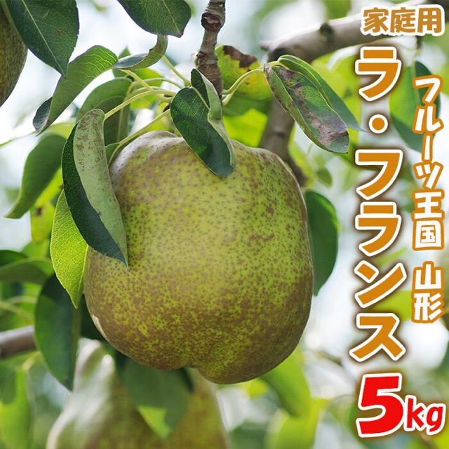 フルーツ王国山形 家庭用 ラ・フランス 5kg（楽天ふるさと納税 山形県山形市）