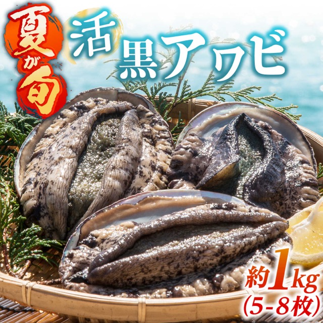 活黒アワビ(楽天ふるさと納税 長崎県壱岐市)