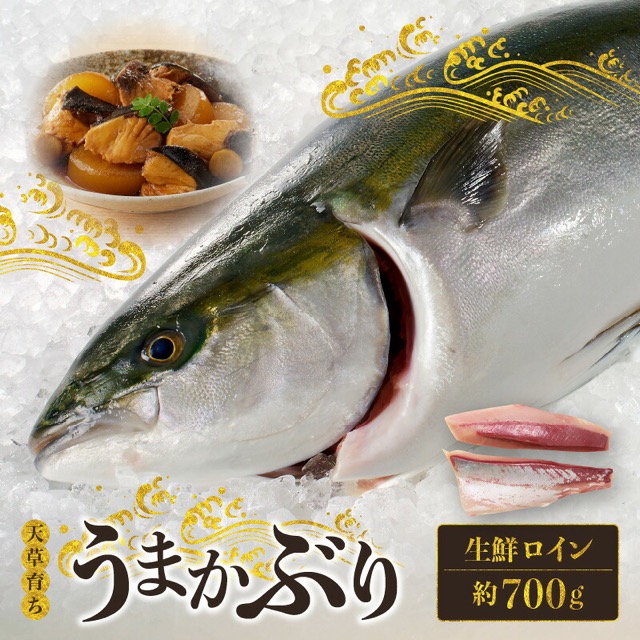 うまかぶり 生鮮ロイン(楽天ふるさと納税 熊本県天草市)