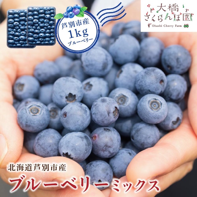8品種ミックス ブルーベリー（楽天ふるさと納税 北海道芦別市）