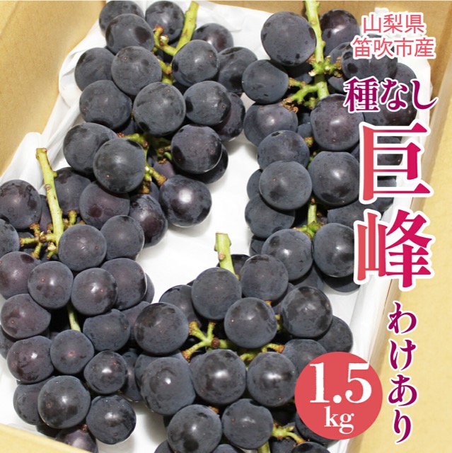 わけあり 種なし巨峰 1.5kg(楽天ふるさと納税 山梨県笛吹市)