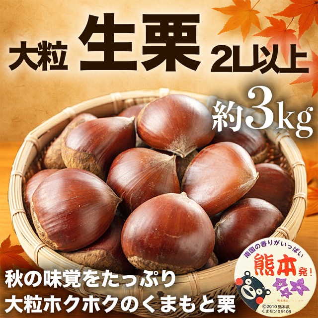 熊本県産 生栗 2L以上(楽天ふるさと納税 熊本県)
