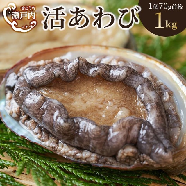 瀬戸内あわび(活)(楽天ふるさと納税 香川県坂出市)