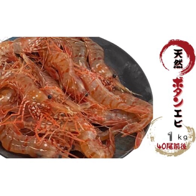 天然ボタンエビ 1kg(40尾前後)(楽天ふるさと納税 北海道増毛町)