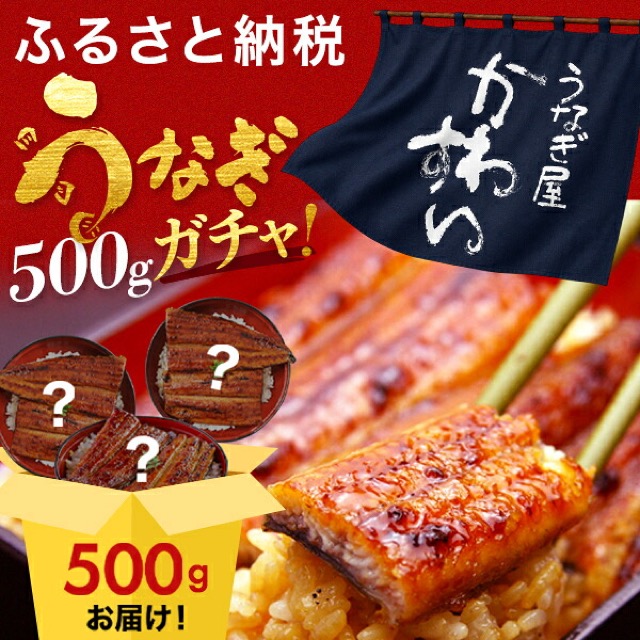 国産うなぎ蒲焼 500g(楽天ふるさと納税 和歌山県有田市)