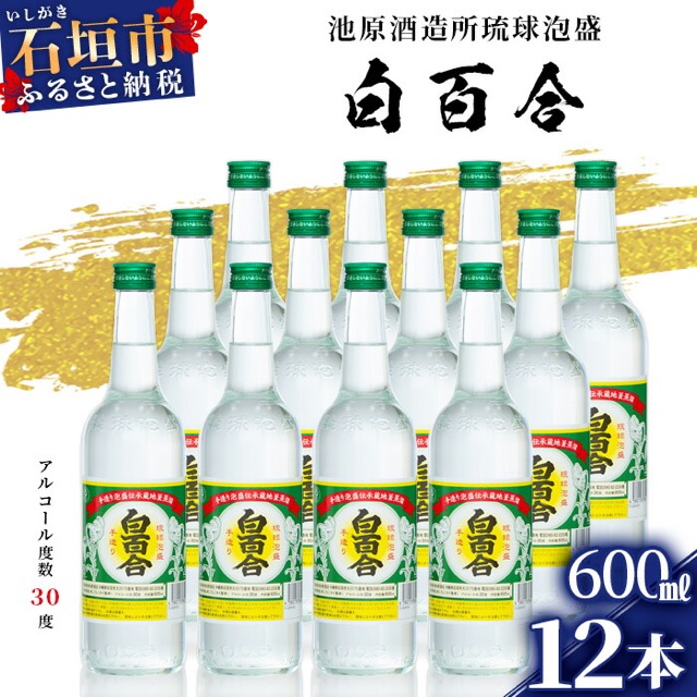 池原酒造 白百合 30度(楽天ふるさと納税 沖縄県石垣市)