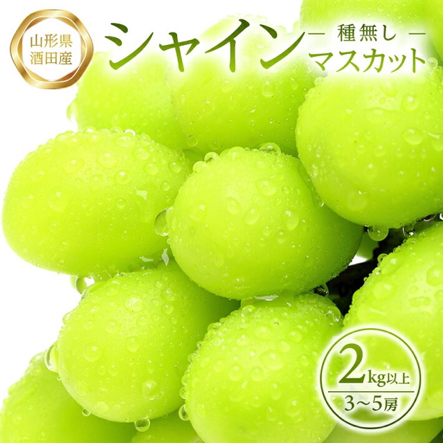 農家直送 シャインマスカット（楽天ふるさと納税 山形県酒田市）